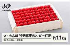 《先行予約》2025年 山形県産 特選「真夏のルビー紅姫」 桐箱詰め 約1100g やまのべ多田耕太郎のさくらんぼ サクランボ F20A-062