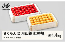《先行予約》2025年 山形県産 月山錦・紅秀峰 桐箱詰め 約700g×2（2L以上）やまのべ多田耕太郎のさくらんぼ サクランボ F20A-065