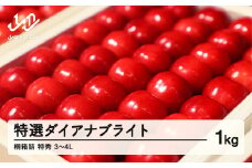 《先行予約》贈答用 2025年 山形県産 さくらんぼ 特選ダイアナブライト 桐箱詰 1kg 特秀 3～4L 2025年6月下旬から順次発送  F20A-035