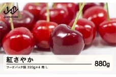 《先行予約》2025年 山形県産 さくらんぼ 紅さやか フードパック詰 880g(220g×4) 秀 L 2025年6月上旬から順次発送  F20A-003