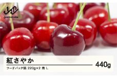 《先行予約》2025年 山形県産 さくらんぼ 紅さやか フードパック詰 440g(220g×2 ) 秀 L 2025年6月上旬から順次発送  F20A-001