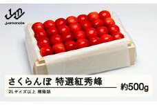 《先行予約》2025年 山形県産 特選紅秀峰 桐箱詰め 約500g やまのべ多田耕太郎のさくらんぼ サクランボ F20A-790