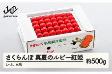 《先行予約》2025年 山形県産 「真夏のルビー紅姫」本詰 約500g L～2L やまのべ多田耕太郎のさくらんぼ サクランボ F20A-786