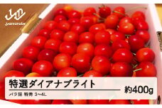 《先行予約》2025年 山形県産 さくらんぼ 特選ダイアナブライト バラ詰 約400g 特秀 3～4L 2025年6月下旬から順次発送 F20A-034