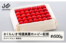 《先行予約》2025年 山形県産 特選「真夏のルビー紅姫」 桐箱詰め 約500g やまのべ多田耕太郎のさくらんぼ サクランボ F20A-791