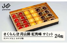 《先行予約》2025年 山形県産 月山錦・紅秀峰・サミット 特選みやび箱詰24粒 やまのべ多田耕太郎のさくらんぼ サクランボ F20A-787