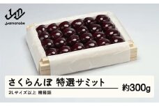 《先行予約》2025年 山形県産 特選サミット 桐箱詰め 約300g やまのべ多田耕太郎のさくらんぼ サクランボ F20A-785