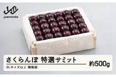 《先行予約》2025年 山形県産 特選サミット 桐箱詰め 約500g やまのべ多田耕太郎のさくらんぼ サクランボ F20A-788