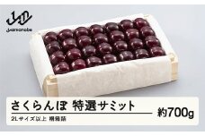 《先行予約》2025年 山形県産 特選サミット 桐箱詰め 約700g やまのべ多田耕太郎のさくらんぼ サクランボ F20A-789