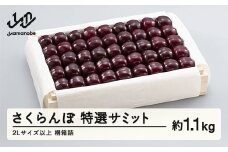 《先行予約》2025年 山形県産 特選サミット 桐箱詰め約1100g やまのべ多田耕太郎のさくらんぼ サクランボ F20A-793