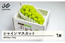 《先行予約》2025年 山形県産 シャインマスカット 1房 やまのべ多田農園のぶどう（約600～700g） F20A-795