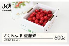 《先行予約》2024年 山形県産 さくらんぼ 佐藤錦500g バラ詰め 秀L～2L F20A-013