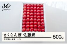 《先行予約》2024年 山形県産 さくらんぼ 佐藤錦 500g 化粧詰め 特秀 L～2L F20A-023