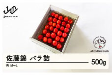 《先行予約》2025年 山形県産 さくらんぼ 佐藤錦 バラ詰 500g 秀 M～L F20A-896