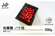 《先行予約》2025年 山形県産 さくらんぼ 佐藤錦 バラ詰 500g 特秀 L以上 F20A-897