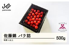 《先行予約》2026年 山形県産 令和8年産 さくらんぼ 佐藤錦 バラ詰 500g 特秀 L以上  ※沖縄・離島への配送不可 F20A-897
