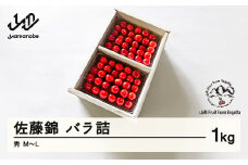《先行予約》2025年 山形県産 さくらんぼ 佐藤錦 バラ詰1kg 秀 M～Ｌ F20A-898