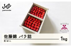 《先行予約》2026年 山形県産 令和8年産 さくらんぼ 佐藤錦 バラ詰1kg 秀 M～Ｌ F20A-898