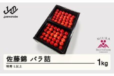 《先行予約》2026年 山形県産 令和8年産 さくらんぼ 佐藤錦 バラ詰1kg 特秀 Ｌ以上  ※沖縄・離島への配送不可 F20A-899