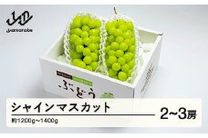 《先行予約》2025年 山形県産 シャインマスカット （2～3房入り） やまのべ多田農園のぶどう F20A-894