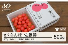 《先行予約》2025年 山形県産 さくらんぼ 佐藤錦 500g バラ詰め(パック) 特秀 L以上 2025年6月中旬から順次発送 F20A-904