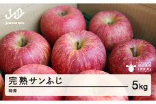 《先行予約》2025年 山形県産 完熟 サンふじ りんご 特秀品 5kg 14～20個 2025年12月上旬から順次発送 リンゴ フルーツ F20A-903