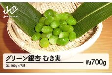 《先行予約》2025年 山形県産 グリーン銀杏 むき実 3L 約700g(100g×7) 2025年9月中旬から順次発送 銀杏 ぎんなん おつまみ 秋 野菜 期間限定 F20A-931