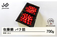 《先行予約》2025年 山形県産 さくらんぼ 佐藤錦 バラ詰 700g 特秀 L以上 F20A-919