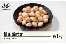 ≪先行予約≫2025年 山形県産 銀杏 殻付き 3L 約1kg（200g×5パック） 2025年10月中旬から順次発送 ぎんなん おつまみ 真空パック 個包装 小分け 秋 野菜 F20A-928
