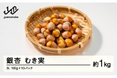 ≪先行予約≫2025年 山形県産 銀杏 むき実 3L 約1kg（100g×10パック）2025年10月中旬から順次発送  ぎんなん おつまみ 真空パック 個包装 小分け 秋 野菜 F20A-929