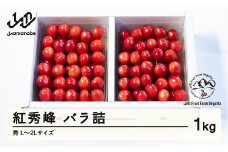 《先行予約》2025年 山形県産 さくらんぼ 紅秀峰 バラ詰 1kg 秀 L～2L F20A-922