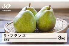 【先行予約】山形県産 西洋梨(ラ･フランス) 令和7年産 3kg F20A-917 ※沖縄・離島配送不可