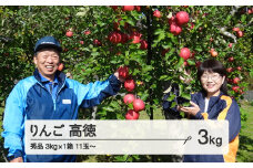 《先行予約》令和7年産 2025年 山形県産 りんご 高徳りんご 秀品 約3kg(11~18玉) リンゴ F20A-974 ※沖縄・離島への配送不可