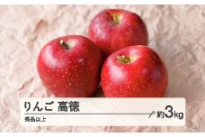 《先行予約》2025年産 山形県産 りんご 高徳（こうとく）秀品以上 約3kg（11～18玉）  2025年10月下旬より順次発送 秋果実 果物 フルーツ tt-riktx3