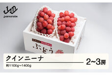 《先行予約》2025年 山形県産 クイーンニーナ 2～3房入り やまのべ多田農園のぶどう F21A-001