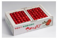 《先行予約》2024年 山形県産 山形美人 本詰め 1kg L～2L やまのべ多田耕太郎のさくらんぼ サクランボ F21A-002