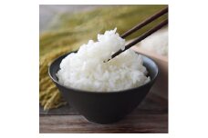 【先行予約】2024年（令和6年）産 山形県産 つや姫 精米 5kg sunnyfarm小関 sk-tssxb5 ※沖縄・離島への配送不可