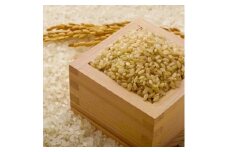 【先行予約】2024年（令和6年）産 山形県産 つや姫 玄米 10kg sunnyfarm小関sk-tsgxb10 ※沖縄・離島への配送不可