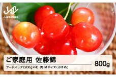 【農業者支援】《先行予約》ご家庭用 2025年 山形県産 さくらんぼ 佐藤錦 フードパック 800g（200g×4）秀 Ｍサイズ（小さめ）2025年6月中旬から順次発送 支援品 訳あり 自宅用 小粒 F21A-232