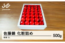 《先行予約》贈答用 2025年 山形県産さくらんぼ 佐藤錦 化粧詰 500g 特秀 2L F21A-235