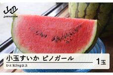 《先行予約》2025年 山形県産 お子さんに大人気！小玉スイカ「ピノガール」 1玉（2kg以上） すいか スイカ 西瓜 フルーツ 果物 野菜 ※沖縄・離島への配送不可 F21A-245