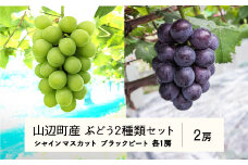 《先行予約》2025年 山形県山辺町産 特選シャインマスカットと果汁たっぷりブラックビートセット 2025年9月上旬から順次発送 F21A-239