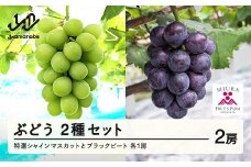 《先行予約》2025年 山形県山辺町産 特選シャインマスカットと果汁たっぷりブラックビートセット 2025年9月上旬から順次発送 F21A-239