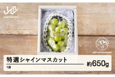 《先行予約》2025年 山形県山辺町産 特選シャインマスカット 1房（約650g）2025年9月中旬から順次発送 F21A-237