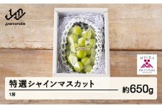 《先行予約》2025年 山形県山辺町産 特選シャインマスカット 1房（約650g）2025年9月上旬から順次発送 F21A-237