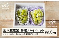 《先行予約》2025年 山形県山辺町産 超大粒 雄宝と特選シャインマスカットセット 2025年9月中旬から順次発送 F21A-240