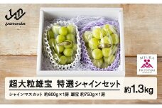 《先行予約》2025年 山形県山辺町産 超大粒 雄宝と特選シャインマスカットセット 2025年9月中旬から順次発送 F21A-240