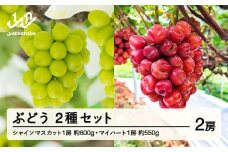 《先行予約》2025年 山形県山辺町産 マイハートと特選シャインマスカットセット  2025年10月上旬から順次発送 F21A-241