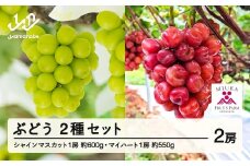 《先行予約》2025年 山形県山辺町産 マイハートと特選シャインマスカットセット  2025年10月上旬から順次発送 F21A-241