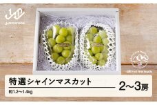 《先行予約》2025年 山形県山辺町産 特選シャインマスカット 2～3房セット（1.2～1.4kg） 2025年9月中旬から順次発送 F21A-238